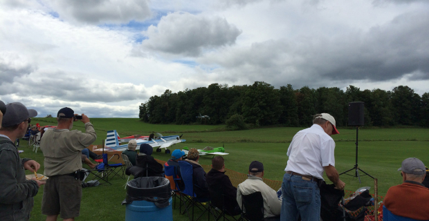 St Jacobs Scale Model Air Show 2014 Crowd